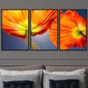 SIGNWIN 3 Piece Framed Canvas Wall Art Orange Blossom Canvas Prints Home Artwork Decoration for Living Room,Bedroom - 16"x24"x3 Panels view 1