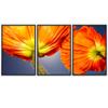 SIGNWIN 3 Piece Framed Canvas Wall Art Orange Blossom Canvas Prints Home Artwork Decoration for Living Room,Bedroom - 16"x24"x3 Panels view 2