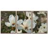 SIGNWIN 3 Piece Framed Canvas Wall Art White Blossom Canvas Prints Home Artwork Decoration for Living Room,Bedroom - 16"x24"x3 Panels view 2
