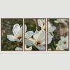SIGNWIN 3 Piece Framed Canvas Wall Art White Blossom Canvas Prints Home Artwork Decoration for Living Room,Bedroom - 16"x24"x3 Panels view 3