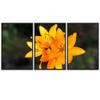 SIGNWIN 3 Piece Framed Canvas Wall Art Orange Blossom Canvas Prints Home Artwork Decoration for Living Room,Bedroom - 16"x24"x3 Panels view 2