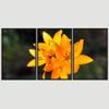 SIGNWIN 3 Piece Framed Canvas Wall Art Orange Blossom Canvas Prints Home Artwork Decoration for Living Room,Bedroom - 16"x24"x3 Panels view 3