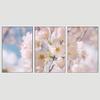 SIGNWIN 3 Piece Framed Canvas Wall Art Pink Blossom Canvas Prints Home Artwork Decoration for Living Room,Bedroom - 16"x24"x3 Panels view 3