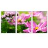 SIGNWIN 3 Piece Framed Canvas Wall Art Pink Blossom Canvas Prints Home Artwork Decoration for Living Room,Bedroom - 16"x24"x3 Panels view 2