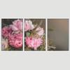 SIGNWIN 3 Piece Framed Canvas Wall Art Pink Blossom Canvas Prints Home Artwork Decoration for Living Room,Bedroom - 16"x24"x3 Panels view 3