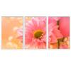 SIGNWIN 3 Piece Framed Canvas Wall Art Pink Blossom Canvas Prints Home Artwork Decoration for Living Room,Bedroom - 16"x24"x3 Panels view 2