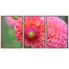 SIGNWIN 3 Piece Framed Canvas Wall Art Pink Blossom Canvas Prints Home Artwork Decoration for Living Room,Bedroom - 16"x24"x3 Panels view 2
