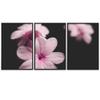 SIGNWIN 3 Piece Framed Canvas Wall Art Pink Blossom Canvas Prints Home Artwork Decoration for Living Room,Bedroom - 16"x24"x3 Panels view 2