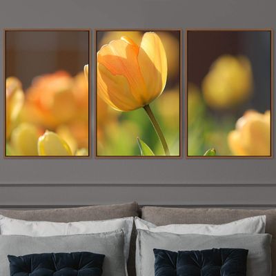 SIGNWIN 3 Piece Framed Canvas Wall Art Orange Blossom Canvas Prints Home Artwork Decoration for Living Room,Bedroom - 16"x24"x3 Panels