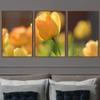 SIGNWIN 3 Piece Framed Canvas Wall Art Orange Blossom Canvas Prints Home Artwork Decoration for Living Room,Bedroom - 16"x24"x3 Panels view 1