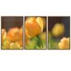 SIGNWIN 3 Piece Framed Canvas Wall Art Orange Blossom Canvas Prints Home Artwork Decoration for Living Room,Bedroom - 16"x24"x3 Panels view 2