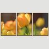 SIGNWIN 3 Piece Framed Canvas Wall Art Orange Blossom Canvas Prints Home Artwork Decoration for Living Room,Bedroom - 16"x24"x3 Panels view 3