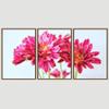 SIGNWIN 3 Piece Framed Canvas Wall Art Pink Blossom Canvas Prints Home Artwork Decoration for Living Room,Bedroom - 16"x24"x3 Panels view 3