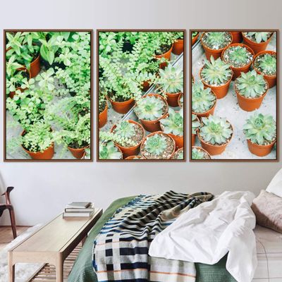 SIGNWIN 3 Piece Framed Canvas Wall Art Greenery in Pots Canvas Prints Home Artwork Decoration for Living Room,Bedroom - 16"x24"x3 Panels