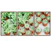 SIGNWIN 3 Piece Framed Canvas Wall Art Greenery in Pots Canvas Prints Home Artwork Decoration for Living Room,Bedroom - 16"x24"x3 Panels view 2