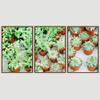 SIGNWIN 3 Piece Framed Canvas Wall Art Greenery in Pots Canvas Prints Home Artwork Decoration for Living Room,Bedroom - 16"x24"x3 Panels view 3