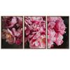 SIGNWIN 3 Piece Framed Canvas Wall Art Pink Blossom Canvas Prints Home Artwork Decoration for Living Room,Bedroom - 16"x24"x3 Panels view 2