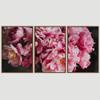 SIGNWIN 3 Piece Framed Canvas Wall Art Pink Blossom Canvas Prints Home Artwork Decoration for Living Room,Bedroom - 16"x24"x3 Panels view 3