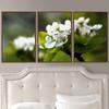 SIGNWIN 3 Piece Framed Canvas Wall Art White Blossom Canvas Prints Home Artwork Decoration for Living Room,Bedroom - 16"x24"x3 Panels view 1