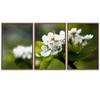 SIGNWIN 3 Piece Framed Canvas Wall Art White Blossom Canvas Prints Home Artwork Decoration for Living Room,Bedroom - 16"x24"x3 Panels view 2