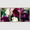 SIGNWIN 3 Piece Framed Canvas Wall Art Purple Blossom Canvas Prints Home Artwork Decoration for Living Room,Bedroom - 16"x24"x3 Panels view 3