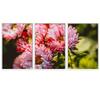 SIGNWIN 3 Piece Framed Canvas Wall Art Pink Blossom Canvas Prints Home Artwork Decoration for Living Room,Bedroom - 16"x24"x3 Panels view 2