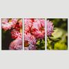 SIGNWIN 3 Piece Framed Canvas Wall Art Pink Blossom Canvas Prints Home Artwork Decoration for Living Room,Bedroom - 16"x24"x3 Panels view 3