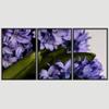 SIGNWIN 3 Piece Framed Canvas Wall Art Purple Blossom Canvas Prints Home Artwork Decoration for Living Room,Bedroom - 16"x24"x3 Panels view 3