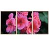 SIGNWIN 3 Piece Framed Canvas Wall Art Pink Blossom Canvas Prints Home Artwork Decoration for Living Room,Bedroom - 16"x24"x3 Panels view 2
