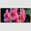 SIGNWIN 3 Piece Framed Canvas Wall Art Pink Blossom Canvas Prints Home Artwork Decoration for Living Room,Bedroom - 16"x24"x3 Panels view 3