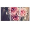 SIGNWIN 3 Piece Framed Canvas Wall Art Pink Blossom Canvas Prints Home Artwork Decoration for Living Room,Bedroom - 16"x24"x3 Panels view 2