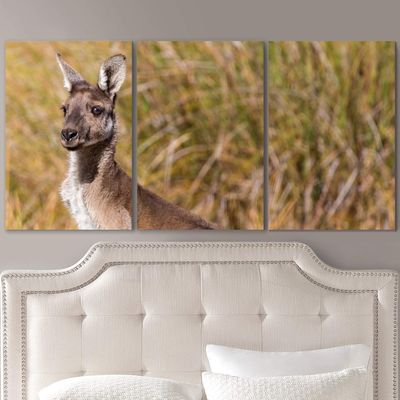 SIGNLEADER Lone Kangaroo Wall Art Animals Canvas Prints for Living Room Bedroom Multicolor Photography - 24"x36" x 3 Panels