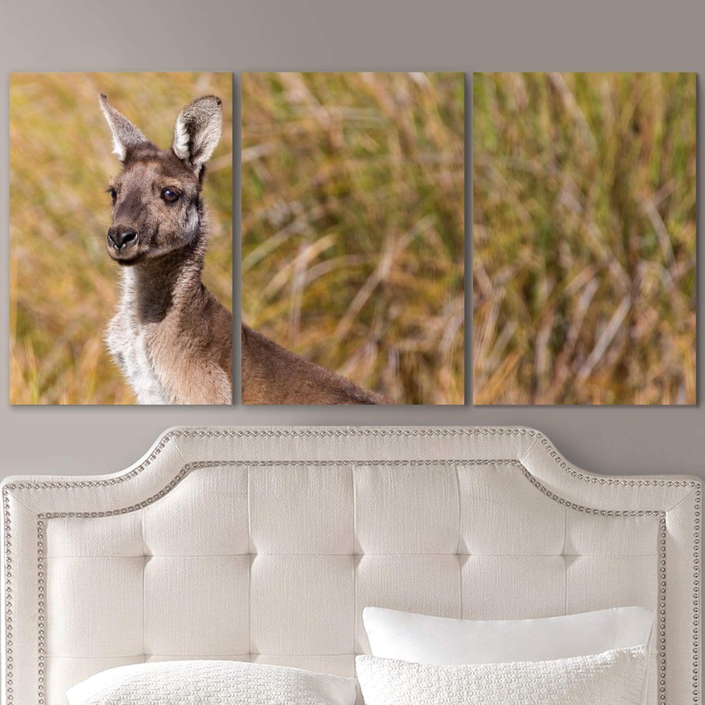 SIGNLEADER Lone Kangaroo Wall Art Animals Canvas Prints for Living Room Bedroom Multicolor Photography - 24"x36" x 3 Panels