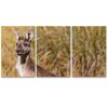 SIGNLEADER Lone Kangaroo Wall Art Animals Canvas Prints for Living Room Bedroom Multicolor Photography - 24"x36" x 3 Panels view 2