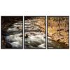 SIGNWIN 3 Piece Framed Canvas Wall Art Forest Rivers Canvas Prints Home Artwork Decoration for Living Room,Bedroom - 16"x24"x3 Panels view 2