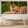 SIGNLEADER Canvas Print Wall Art Set Tiger in the Bamboo Forest Animals WildLife Photography Realism Rustic Scenic Relax/Calm Multicolor for Living Room, Bedroom, Office - 24"x36" x 3 Panels view 3
