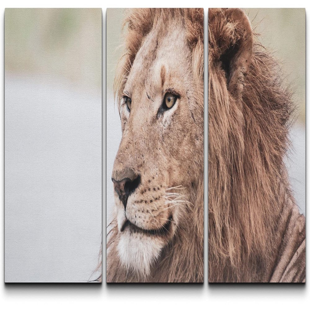 SIGNLEADER Canvas Print Wall Art Set Closeup Film Grain Lion Portrait Animals WildLife Photography Realism Rustic Scenic Relax/Calm Multicolor for Living Room, Bedroom, Office - 24"x36" x 3 Panels