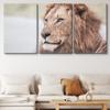 SIGNLEADER Canvas Print Wall Art Set Closeup Film Grain Lion Portrait Animals WildLife Photography Realism Rustic Scenic Relax/Calm Multicolor for Living Room, Bedroom, Office - 24"x36" x 3 Panels view 2