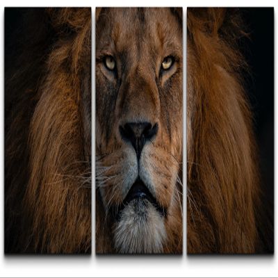 SIGNLEADER Canvas Print Wall Art Set Closeup Portrait of Lion Animals WildLife Photography Realism Rustic Scenic Relax/Calm Multicolor for Living Room, Bedroom, Office - 24"x36" x 3 Panels