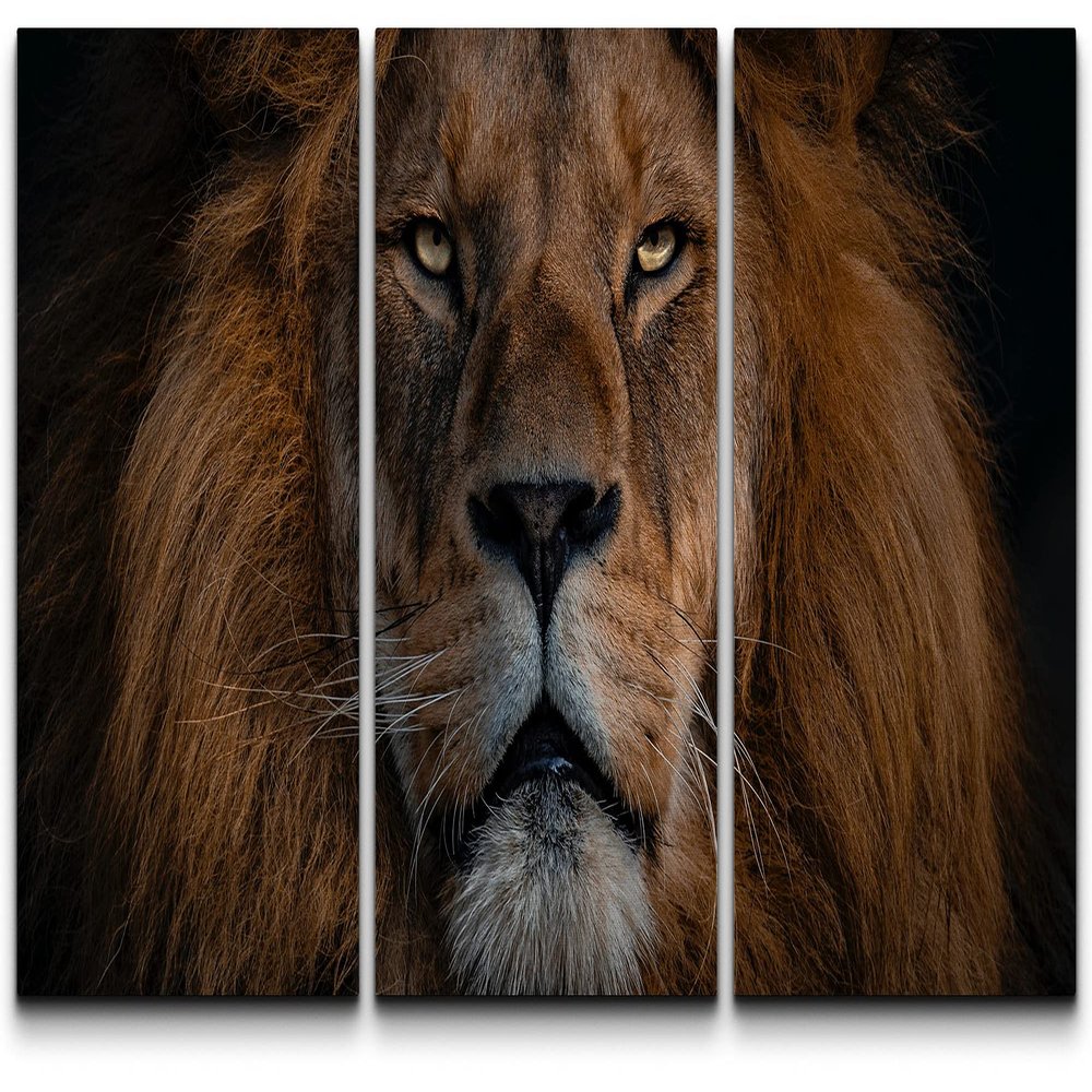 SIGNLEADER Canvas Print Wall Art Set Closeup Portrait of Lion Animals WildLife Photography Realism Rustic Scenic Relax/Calm Multicolor for Living Room, Bedroom, Office - 24"x36" x 3 Panels