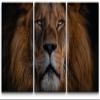 SIGNLEADER Canvas Print Wall Art Set Closeup Portrait of Lion Animals WildLife Photography Realism Rustic Scenic Relax/Calm Multicolor for Living Room, Bedroom, Office - 24"x36" x 3 Panels view 1
