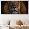 SIGNLEADER Canvas Print Wall Art Set Closeup Portrait of Lion Animals WildLife Photography Realism Rustic Scenic Relax/Calm Multicolor for Living Room, Bedroom, Office - 24"x36" x 3 Panels view 2