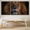 SIGNLEADER Canvas Print Wall Art Set Closeup Portrait of Lion Animals WildLife Photography Realism Rustic Scenic Relax/Calm Multicolor for Living Room, Bedroom, Office - 24"x36" x 3 Panels view 3