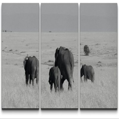 SIGNLEADER Canvas Print Wall Art Set Black & White Elephant Herd Animals WildLife Photography Realism Rustic Scenic Relax/Calm Multicolor for Living Room, Bedroom, Office - 24"x36" x 3 Panels