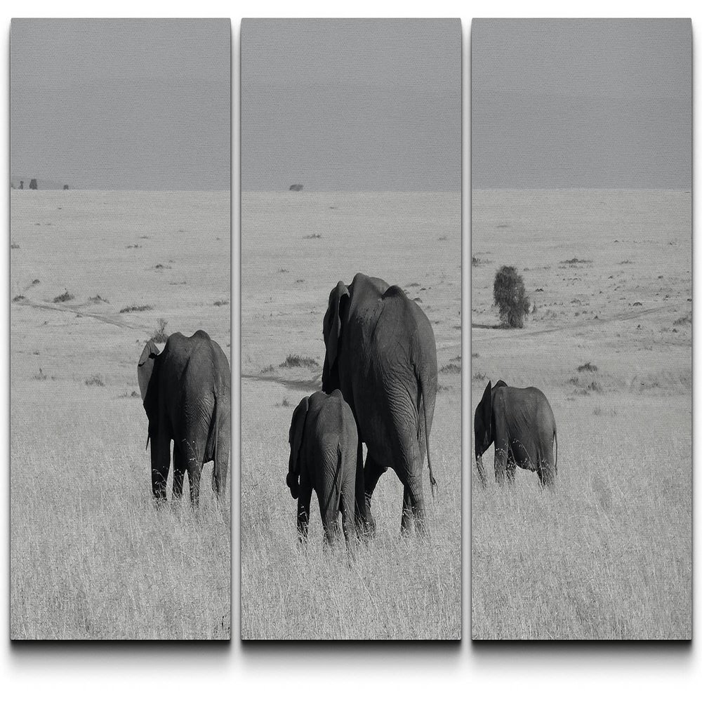 SIGNLEADER Canvas Print Wall Art Set Black & White Elephant Herd Animals WildLife Photography Realism Rustic Scenic Relax/Calm Multicolor for Living Room, Bedroom, Office - 24"x36" x 3 Panels