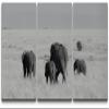 SIGNLEADER Canvas Print Wall Art Set Black & White Elephant Herd Animals WildLife Photography Realism Rustic Scenic Relax/Calm Multicolor for Living Room, Bedroom, Office - 24"x36" x 3 Panels view 1