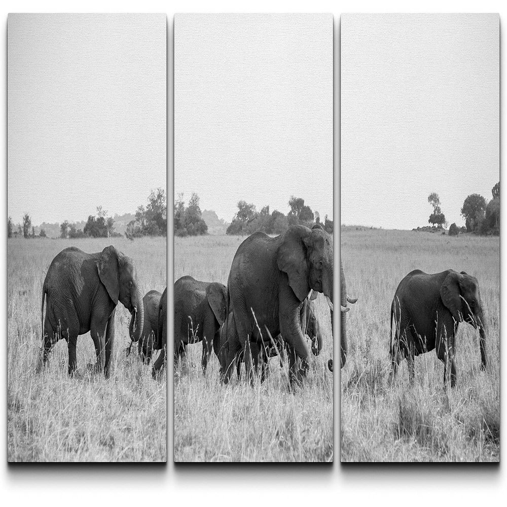 SIGNLEADER Elephant Wall Art for Home Office Black and White Elephant Canvas Wall Art for Living Room Bedroom - 24"x36" x 3 Panels