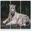 SIGNLEADER Canvas Print Wall Art Set White Tiger Sits in the Jungle Animals WildLife Photography Realism Rustic Scenic Relax/Calm Multicolor for Living Room, Bedroom, Office - 24"x36" x 3 Panels view 1