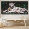 SIGNLEADER Canvas Print Wall Art Set White Tiger Sits in the Jungle Animals WildLife Photography Realism Rustic Scenic Relax/Calm Multicolor for Living Room, Bedroom, Office - 24"x36" x 3 Panels view 3