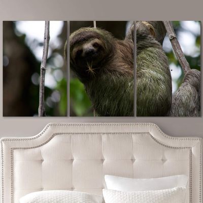 SIGNLEADER Sloth on a Treer Wall Art Animals Canvas Prints for Living Room Bedroom Multicolor Photography - 24"x36" x 3 Panels